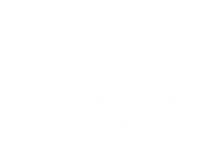 Salomon Run Barcelona